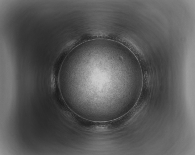 X0000101960692200807251155