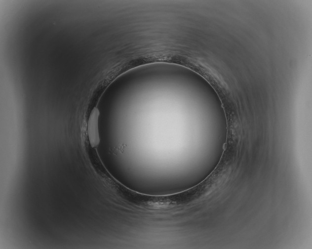 X0000101960693200807251155