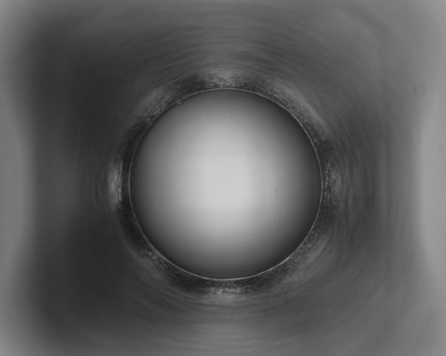 X0000101960694200807251155