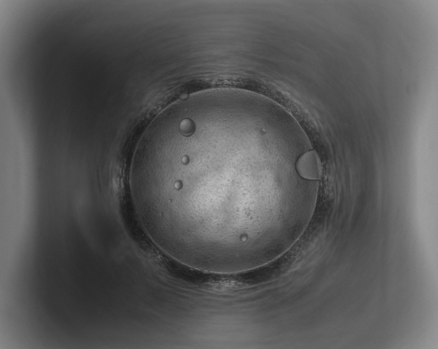 X0000101960695200807251155