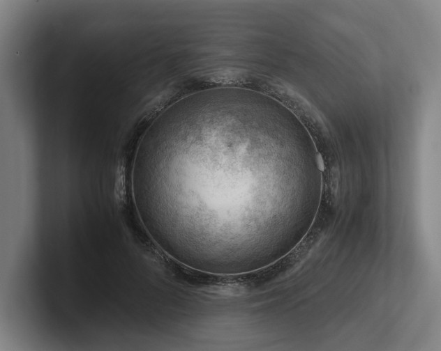 X0000101960696200807251155