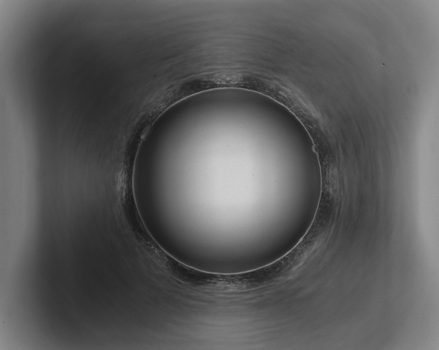 X0000101960697200807251155