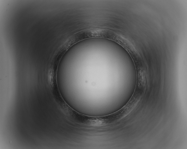 X0000101960698200807251155