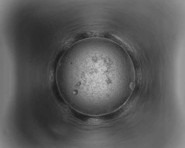 X0000101960699200807251155