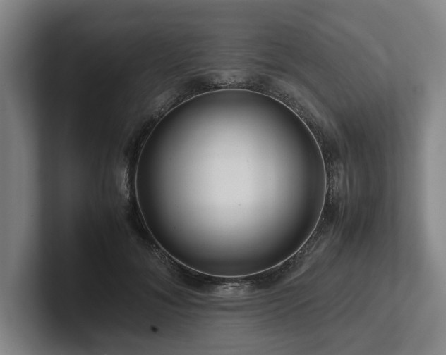 X0000101960700200807251155