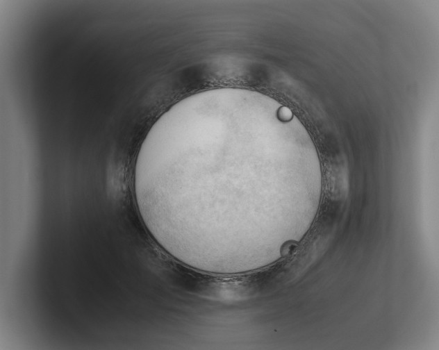 X0000101960701200807251155