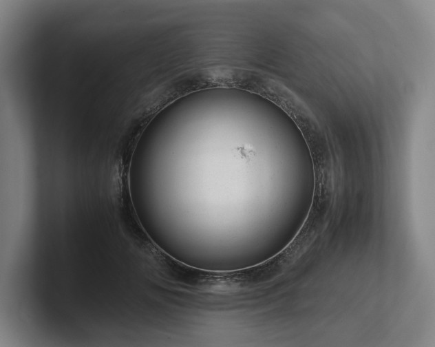 X0000101960702200807251155