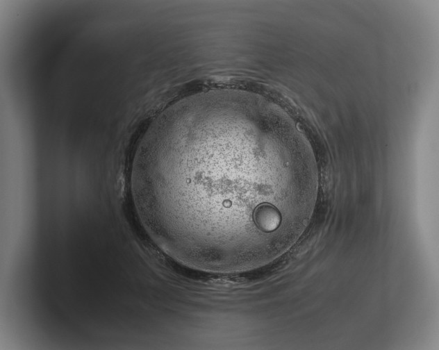 X0000101960703200807251155