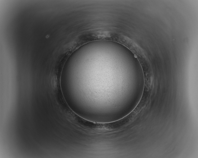 X0000101960704200807251155