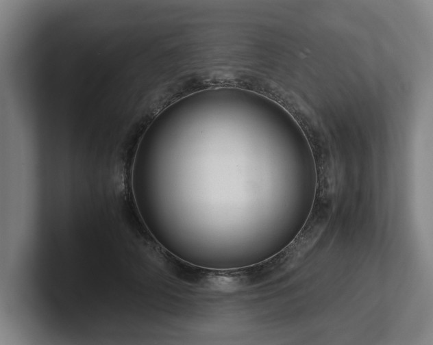 X0000101960706200807251154