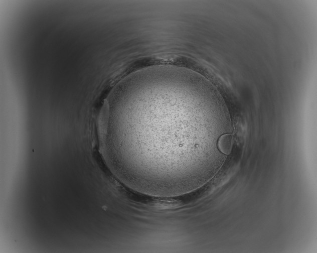 X0000101960707200807251154