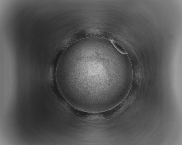 X0000101960708200807251154