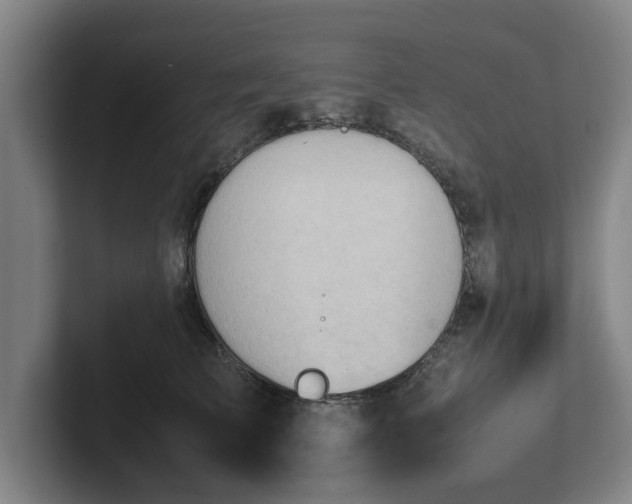 X0000101960709200807251154