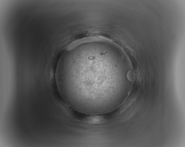 X0000101960711200807251154