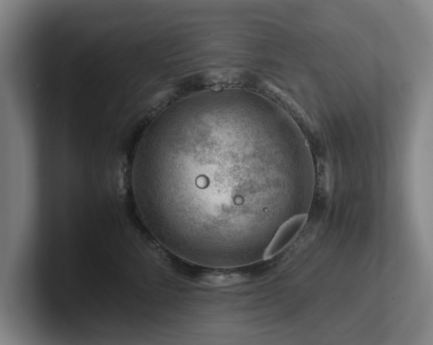 X0000101960712200807251154