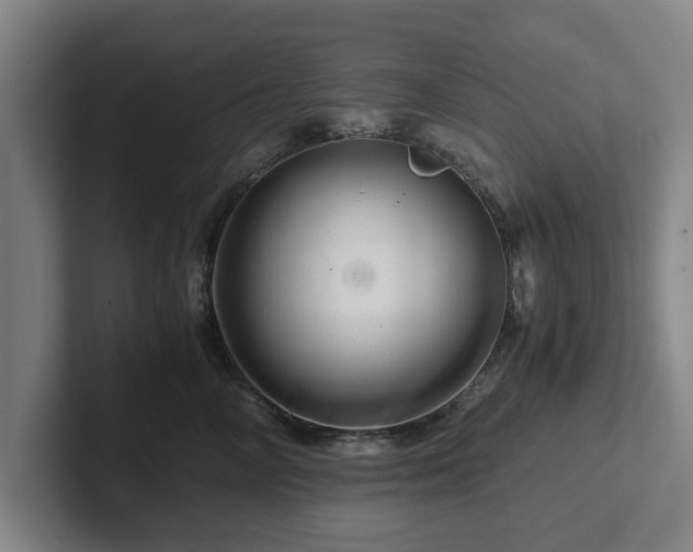 X0000101960714200807251154