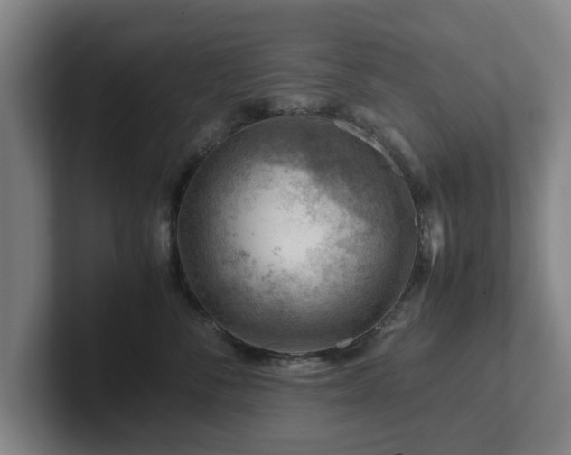 X0000101960716200807251154