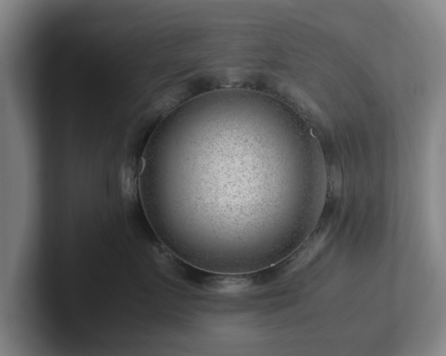 X0000101960719200807251154