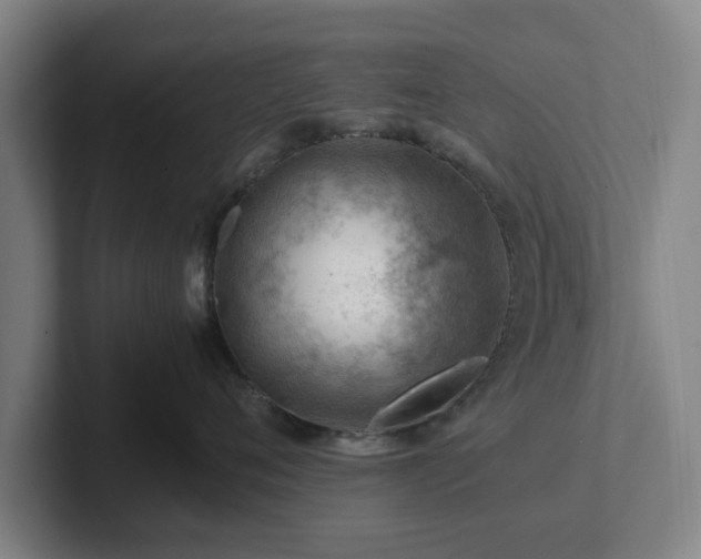 X0000101960720200807251154