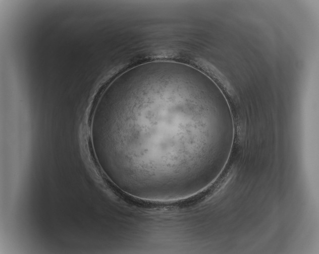 X0000101960721200807251154