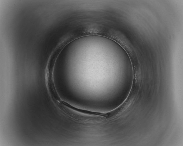 X0000101960722200807251154