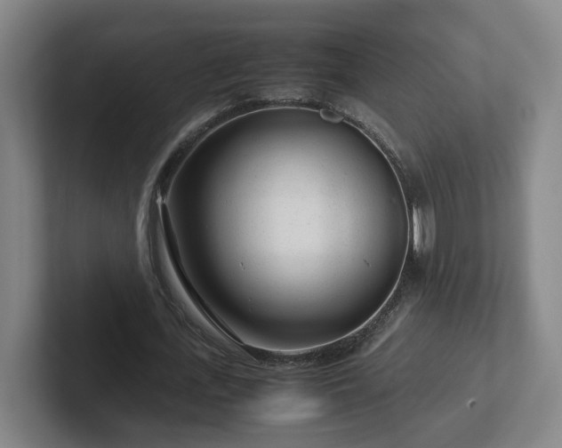 X0000101960723200807251154