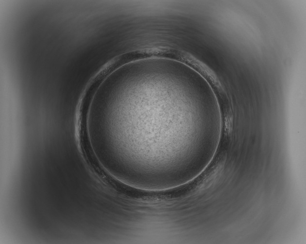 X0000101960724200807251154