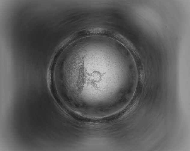 X0000101960725200807251154