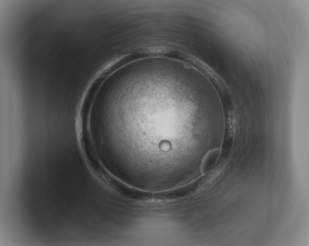 X0000101960726200807251154