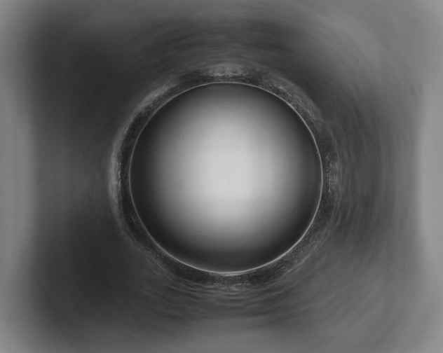 X0000101960727200807251154