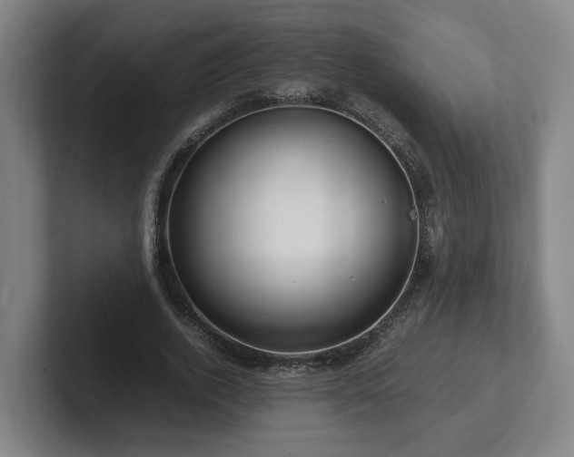 X0000101960728200807251154