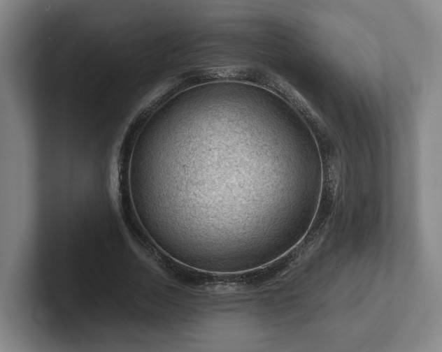 X0000101960730200807251154