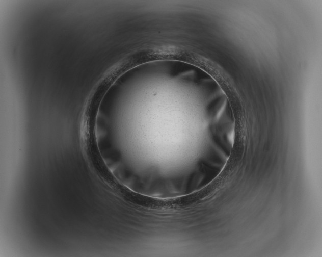 X0000101960731200807251154