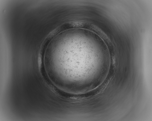 X0000101960733200807251154