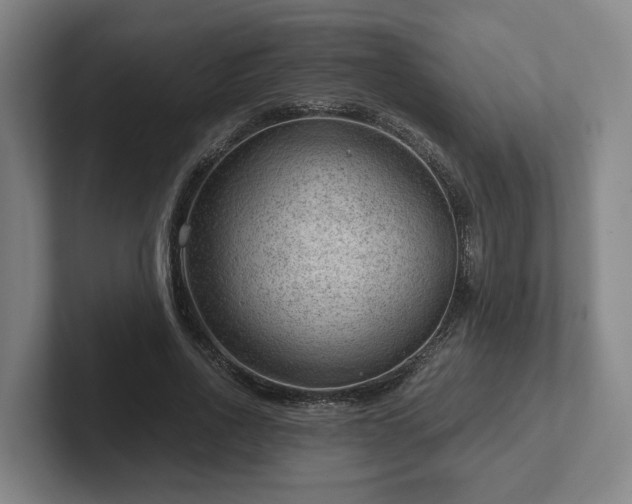 X0000101960734200807251154