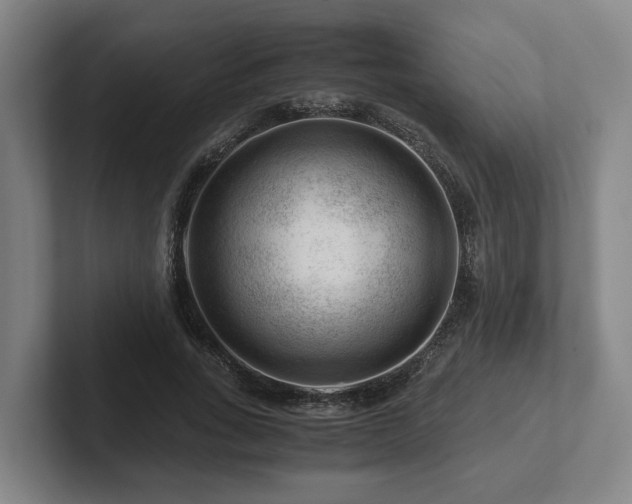 X0000101960735200807251154