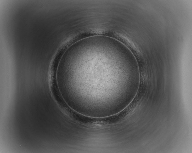 X0000101960736200807251154