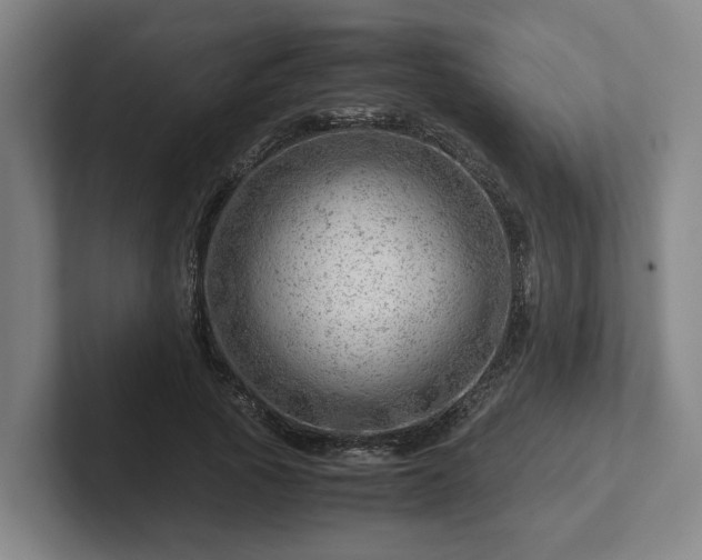 X0000101960737200807251154