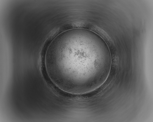 X0000101960738200807251154