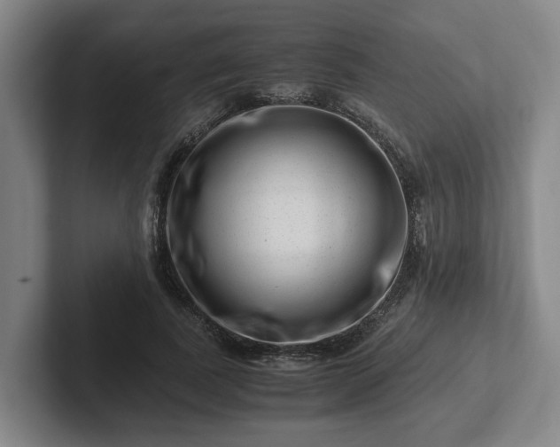 X0000101960739200807251154