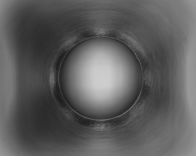 X0000101960740200807251154