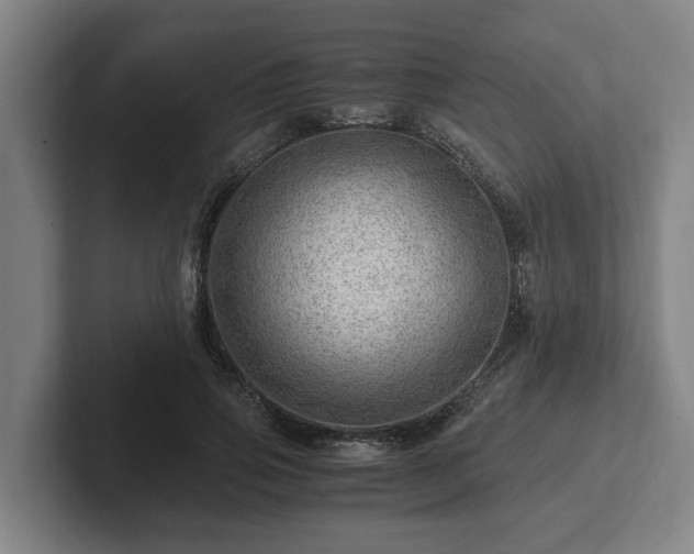 X0000101960741200807251154