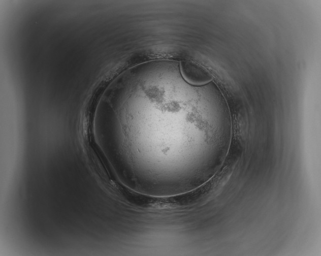 X0000101960742200807251154