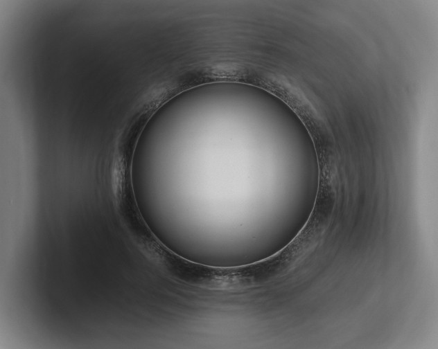 X0000101960744200807251154