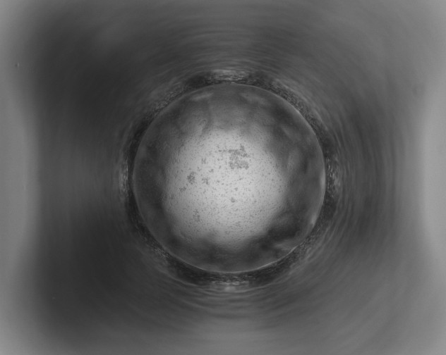 X0000101960745200807251154