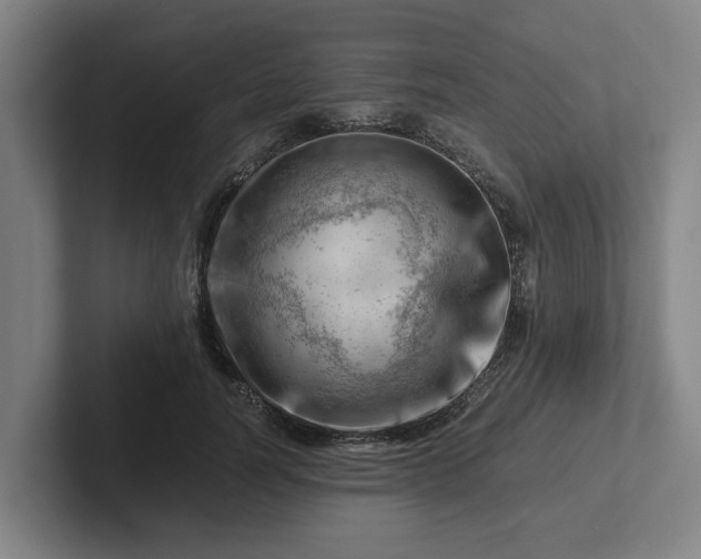 X0000101960746200807251154