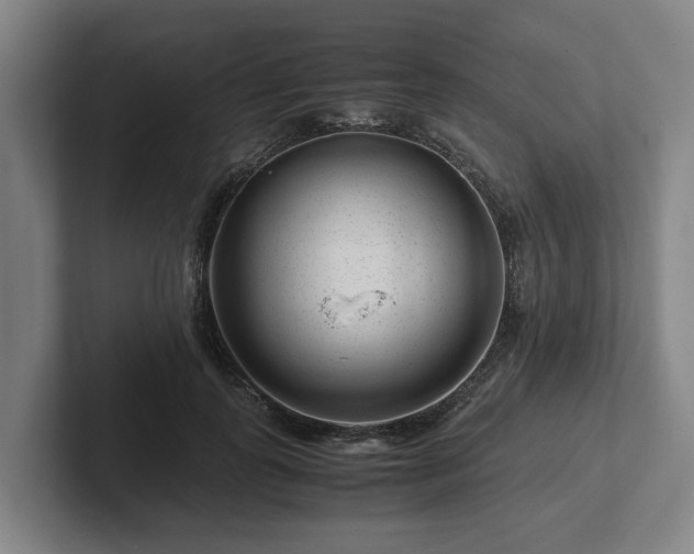 X0000101960747200807251154