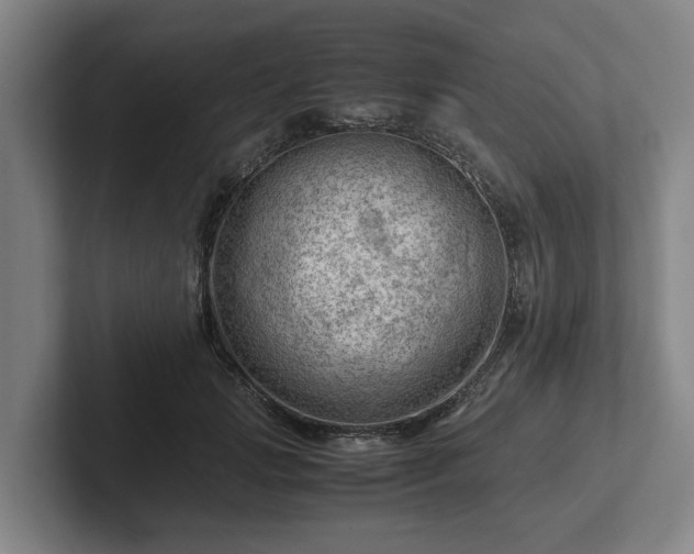 X0000101960749200807251154