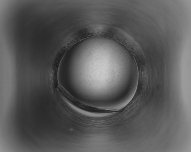 X0000101960750200807251154