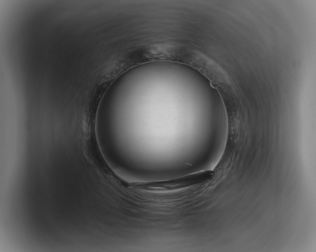 X0000101960751200807251154